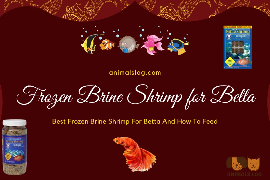 Frozen Brine Shrimp For Betta