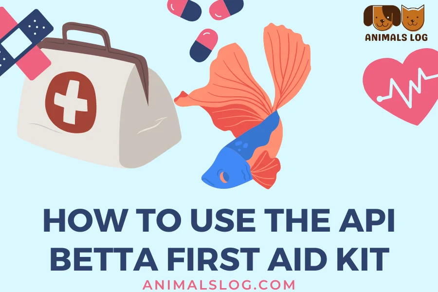 Betta First Aid Kit