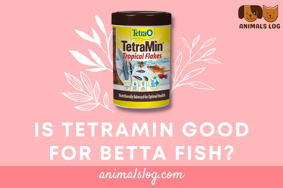 Is TetraMin Good For Betta Fish