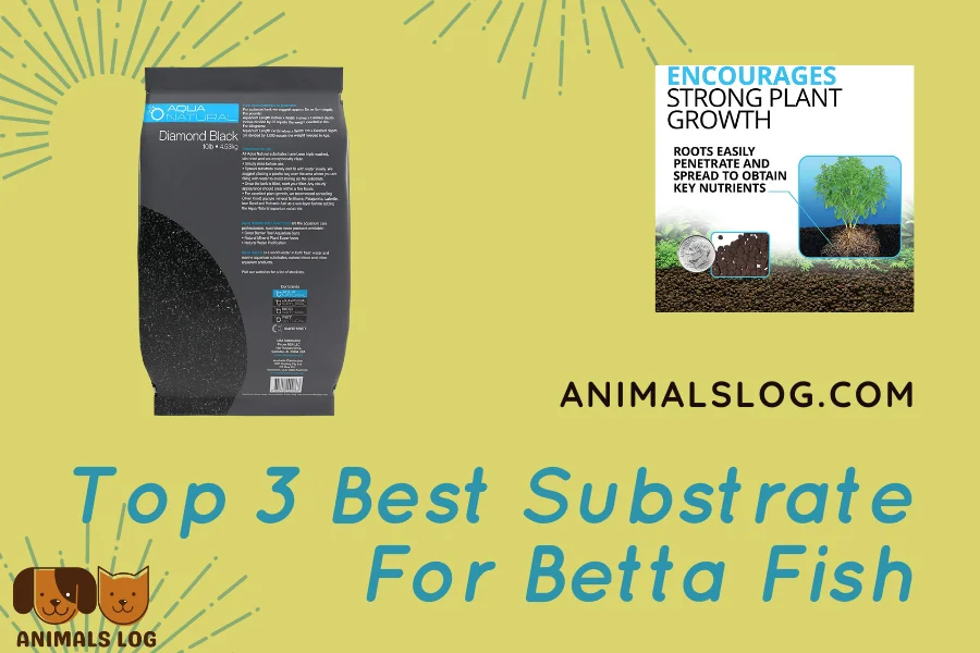 best substrate for betta