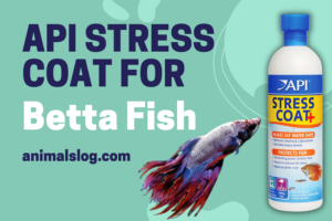 api stress coat for betta fish