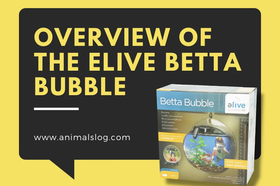 elive betta bubble