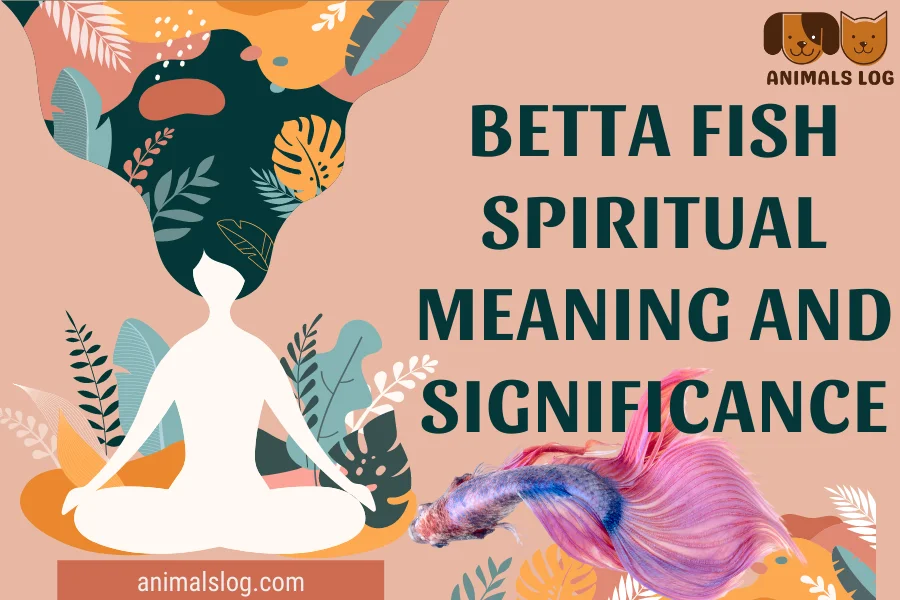 betta fish spiritual meaning