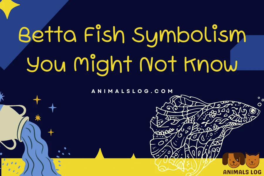 betta fish symbolism