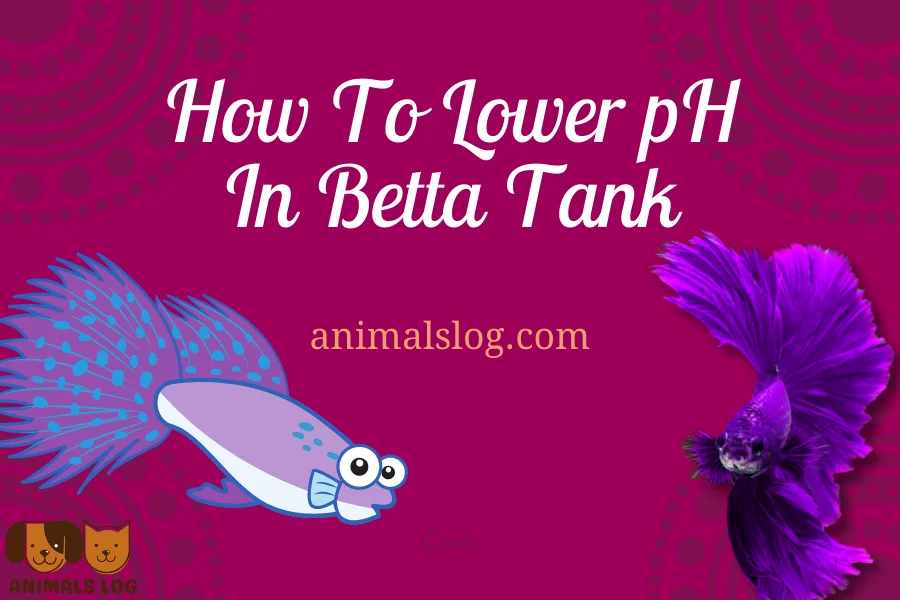 How To Lower pH In Betta Tank