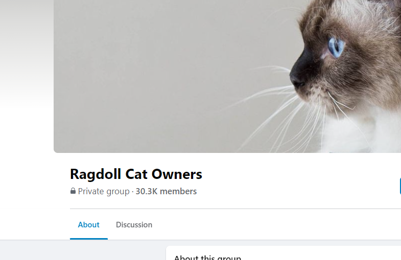 Ragdoll Cat Owners