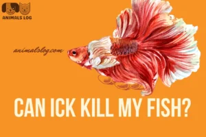 Ick In Betta Fish: Symptoms, Causes & Treatment
