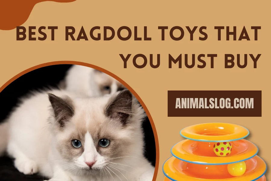 ragdoll toys
