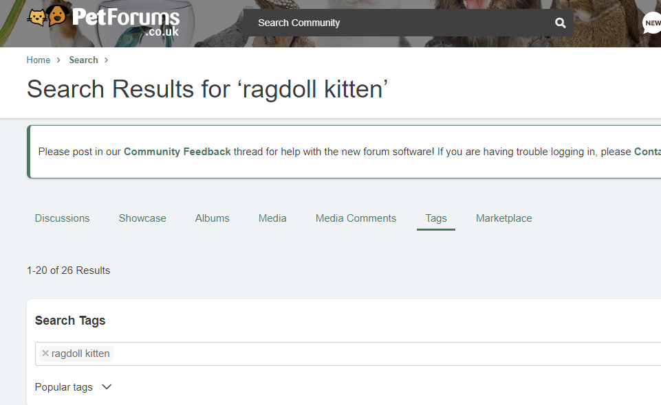 Best Ragdoll Kitten Forums: