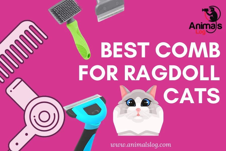 best comb for ragdoll cats