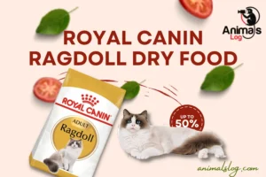 Royal Canin Ragdoll Dry Food: Are They The Best?
