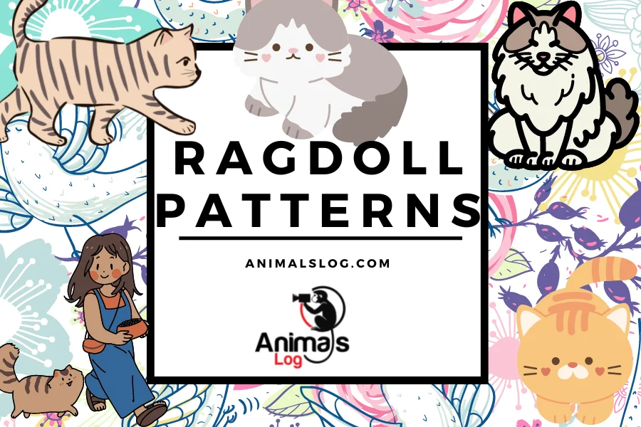 ragdoll patterns