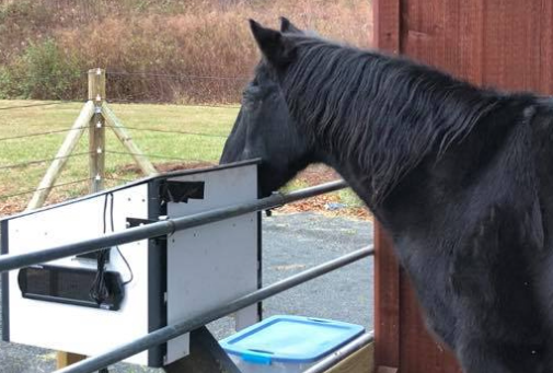 Equine Automation X5-CD Automatic Horse Feeder