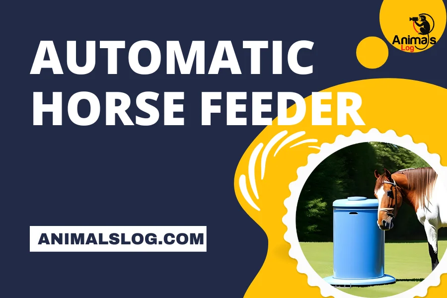 automatic horse feeder