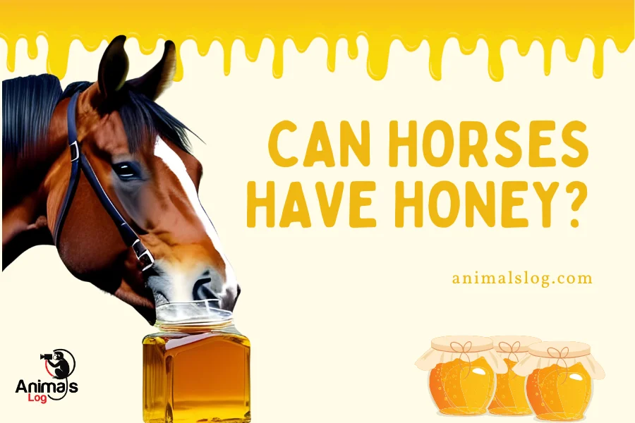 can horses have honey