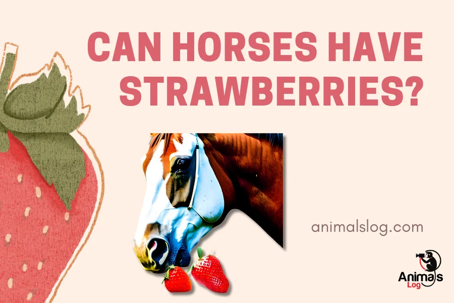 can horses have strawberries