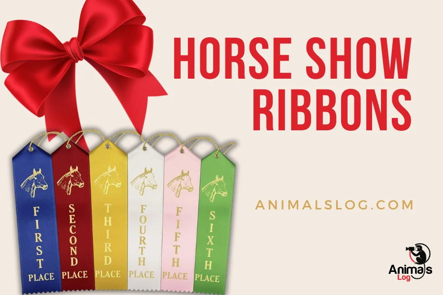 horse show ribbons