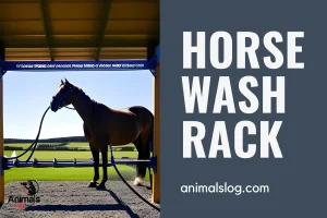How To Build The Perfect Horse Wash Rack?
