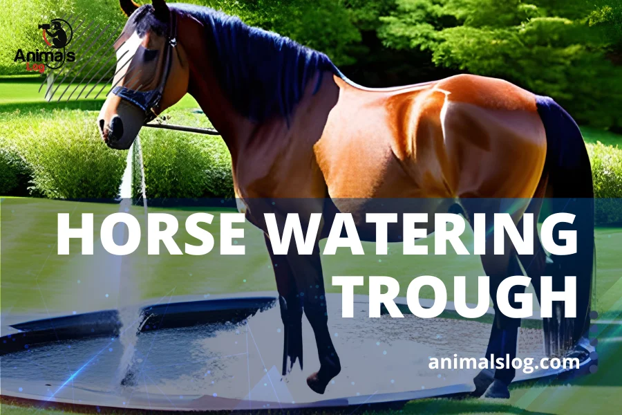 horse watering trough